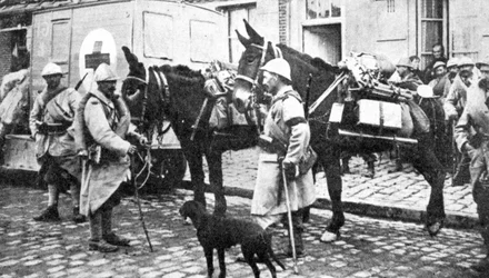 Rotes Kreuz Wagen während des Ersten Weltkriegs